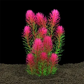 12 最佳銷售 水族箱種子 - №12