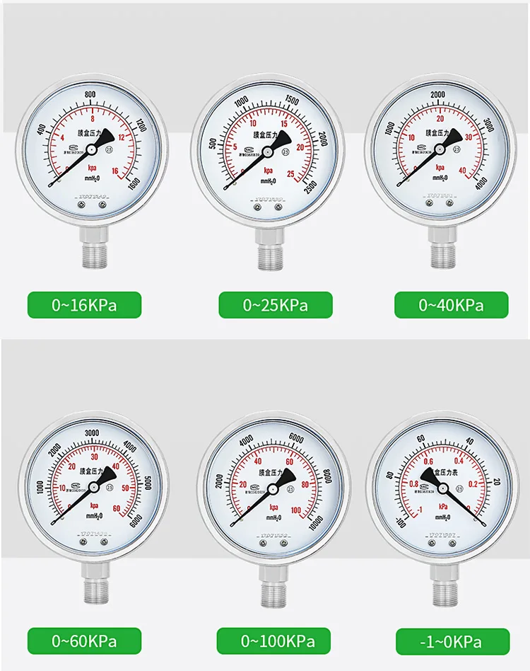 High-Precision 2.5% Total Gas Pressure Meter 0-100kpa 60mm 304 All Stainless Steel Capsule Micro Air Pressure Gauge