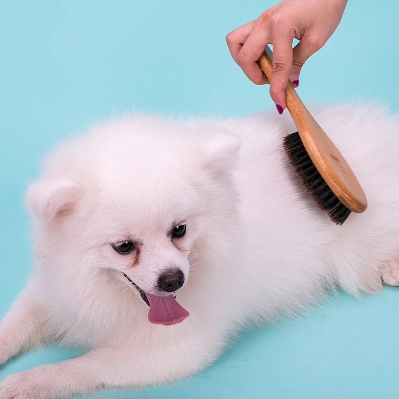 

Winhyepet Pet Hair Combing Brush Dog Grooming Tool Handle Widened Shedding Brush Dematting Deshedding Tool 2022 New