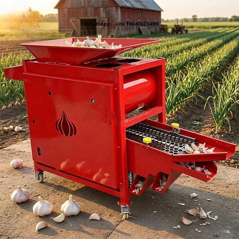 Wholesale Direct Sales Multi Outlet Discharge Farm Processing Equipment Garlic Seed Processing Machine FWX