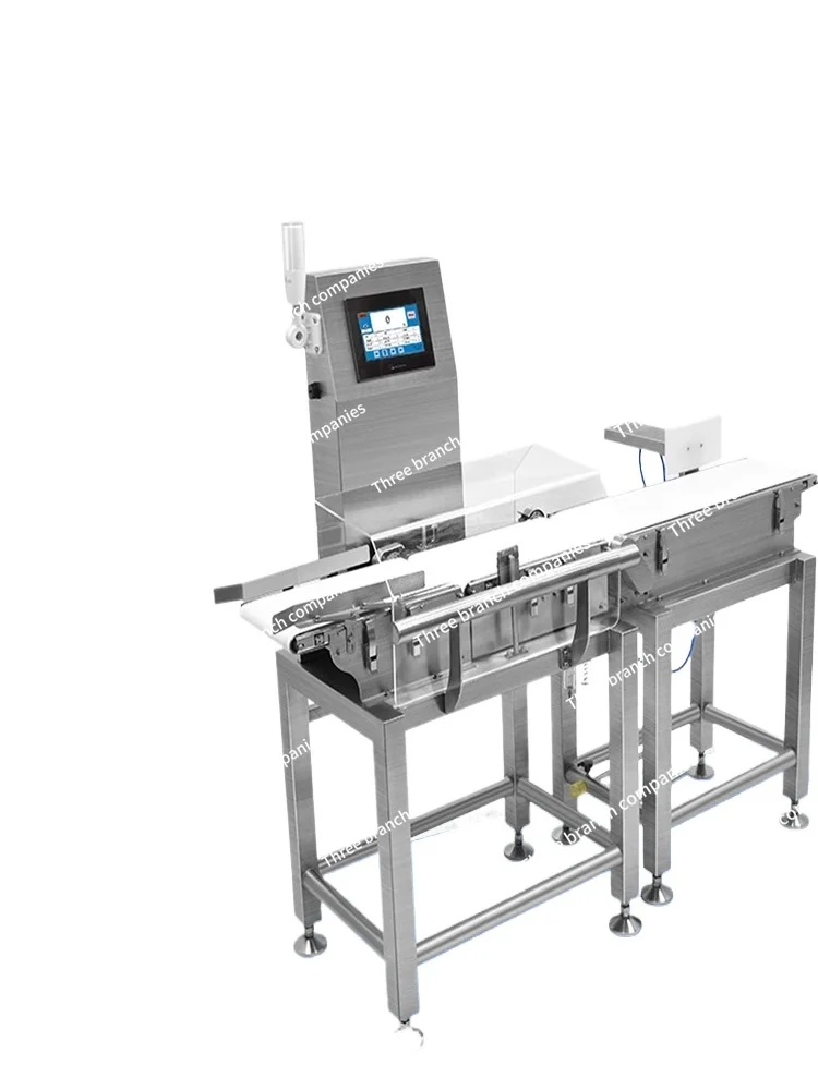 High-Precision Automatic Dynamic Checkweigher Weighing Machine