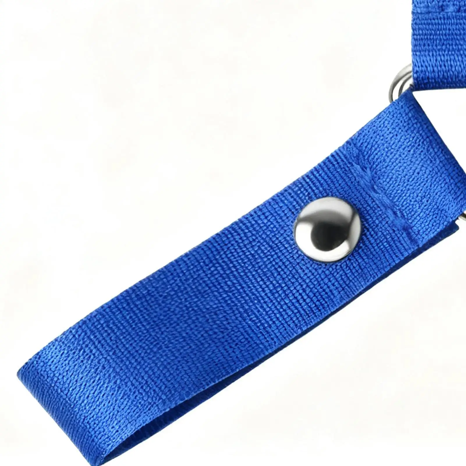 

Вешалки с помпонами для поддержки, органайзер, ремень, держатель для помпонов, вешалка для девочек, соревнования черлидинга, игры, спортивные мероприятия, школьные мероприятия