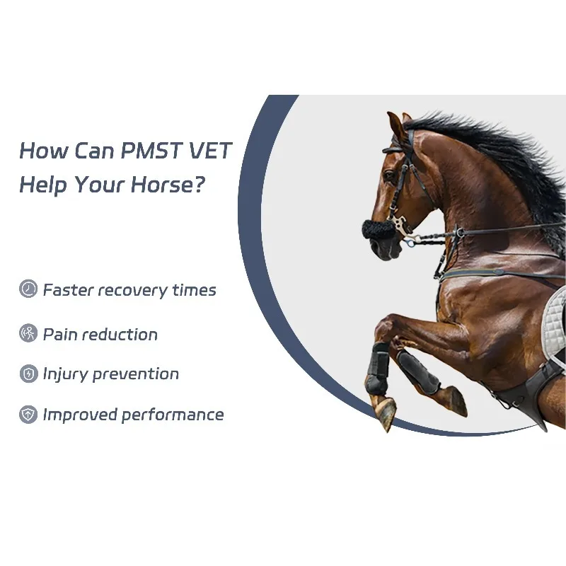 Vet Physical PEMF Magnetic Therapy Device with  Laser Red Light for Horse Pain Relief-Safe & Reliable