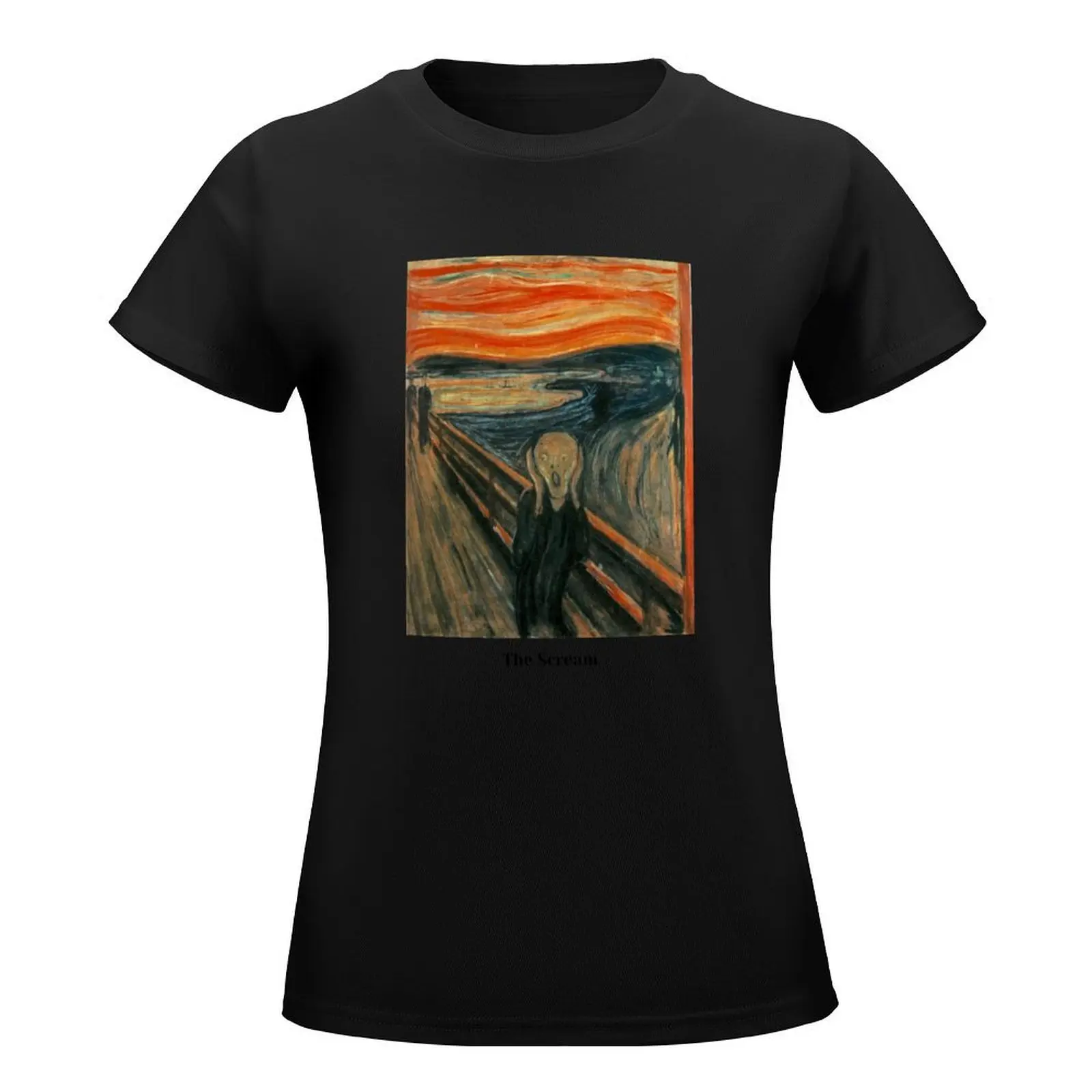 The Scream, Edvard Munch T-Shirt graphics kawaii clothes t-shirts for Women pack