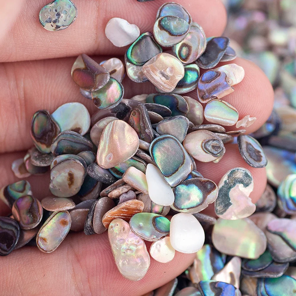 

50ml/Jar Nail ArtNatural Sea Abalone Shell Irregular Shape Shell Fragments For DIY Dress Accessories/Resin Mold Filler