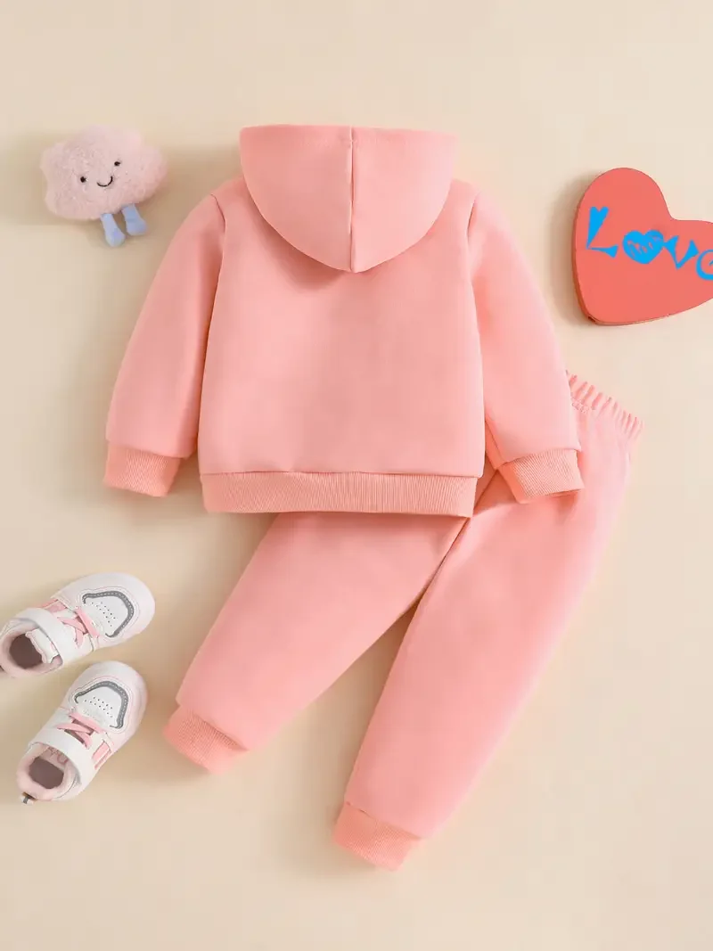 Infant Toddler Autumn Winter Hoodie Tracksuit Set, Butterfly Floral Letter C Print, Sweet Cute Casual Sporty Two-Piece Outfit