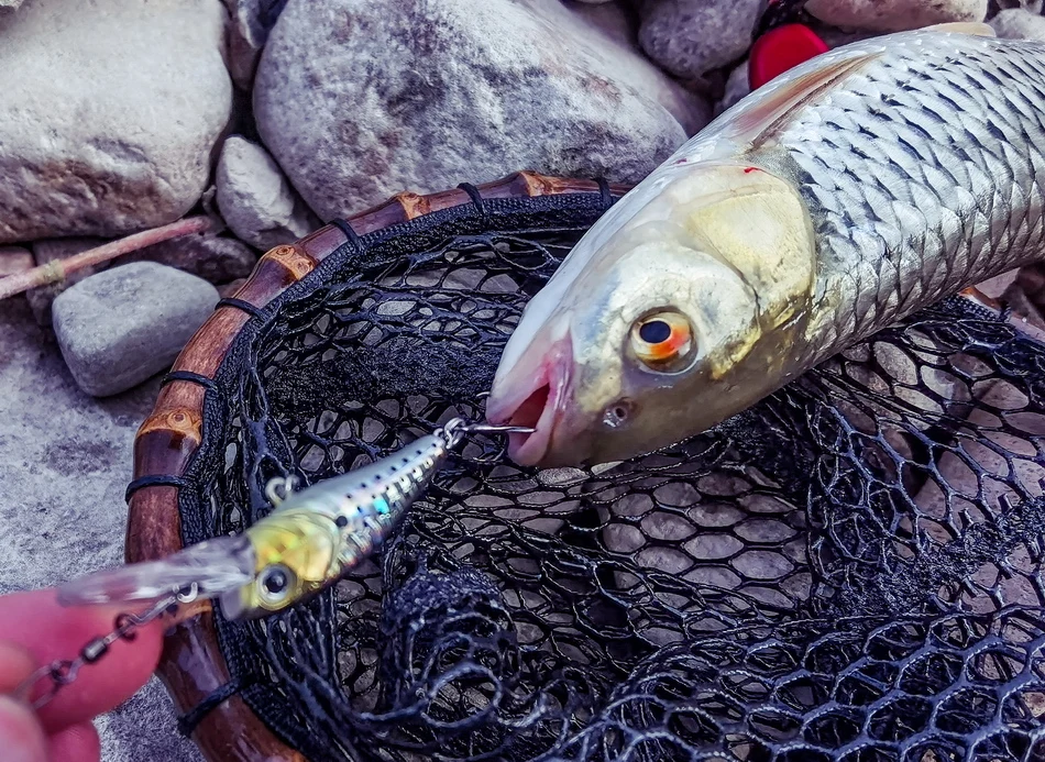 1Pcs Schwimmende Angeln Lockt Minnow Harten Köder 40mm 3g Hochfrequenz Schaukel Wobbler Crankbait Karpfen Barsch stecker Angelgerät – Detail 9