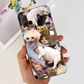 case-c34