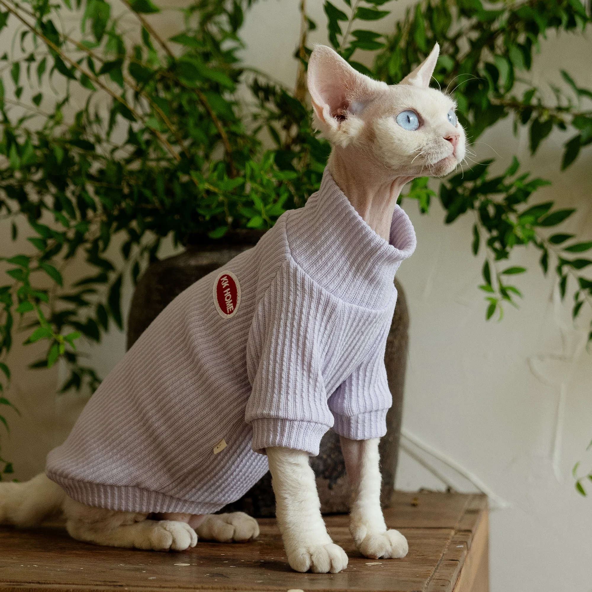 High-necked Light Purle Shirt for Sphynx Cat Long Sleeves Cotton Undercoat Winter for Kittens Soft Pajamas for Devon Rex Spring