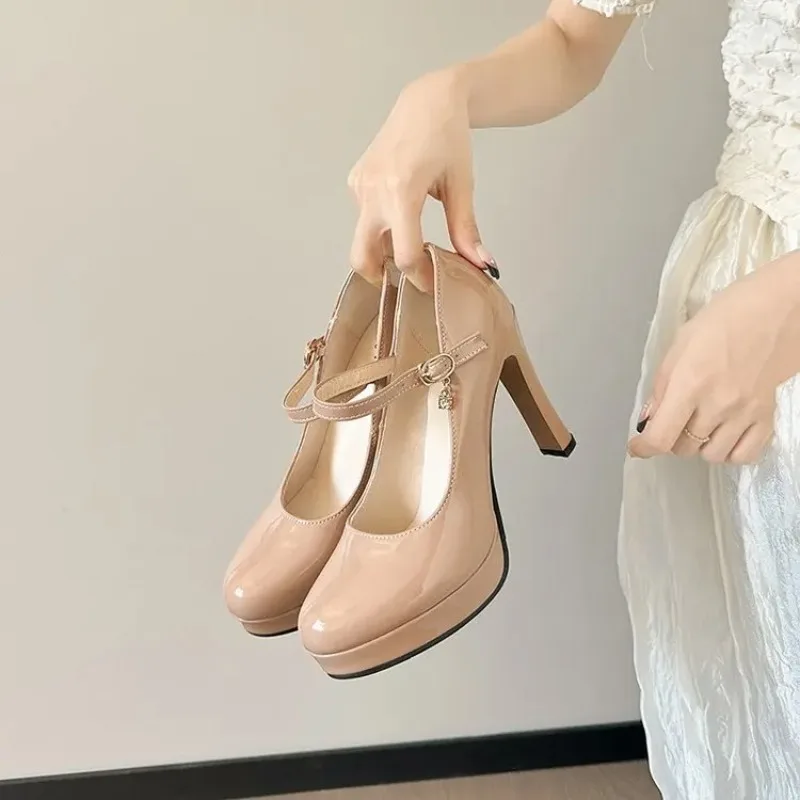 Fashion Women's High Heels Sexy Women's Mary Jane Shoes Europe America Elegant Leather Shoe Upscale Designer Brand Concise Pumps