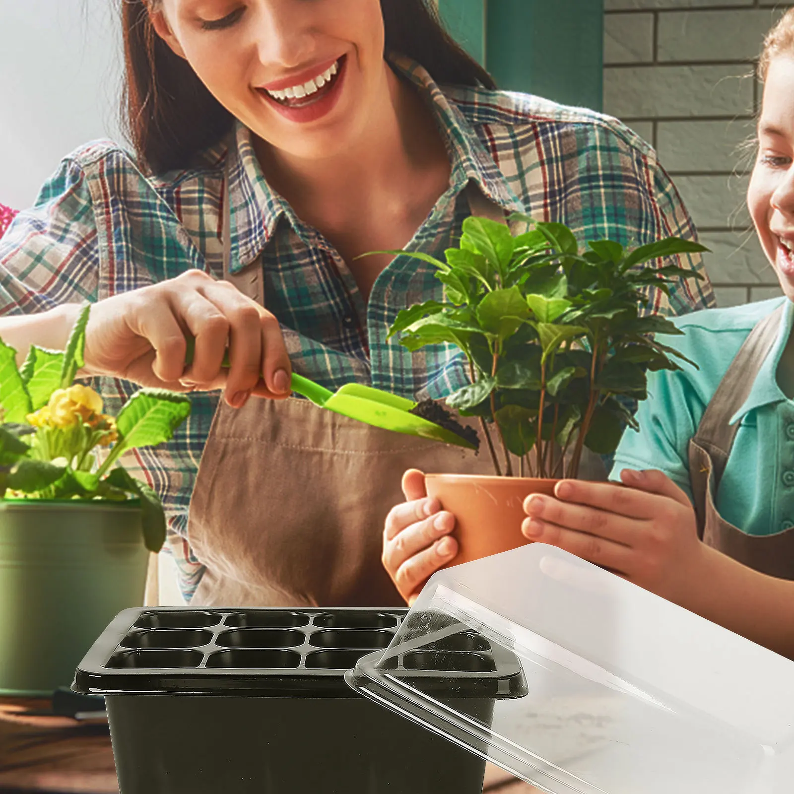 

Nursery Box 12 Cell Growing Tray with Lid for Seed Starting Propagation Hobbyists Grower Starter Kit Sprout Plate