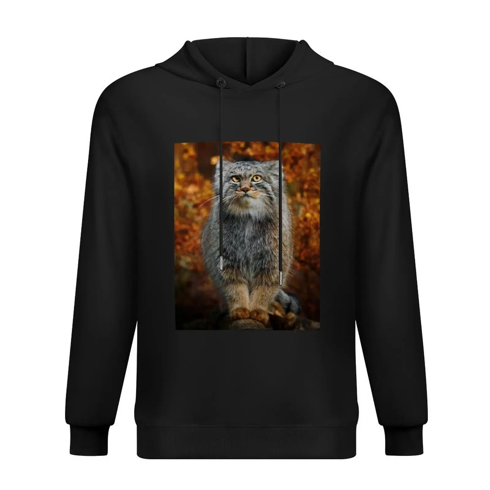 تي شيرت بغطاء للرأس من Pallas's Cat / Manul تي شيرت جرافيك للرجال ملابس شتوية للرجال قميص عرق ملابس خريف كورية بدلة رياضية للرجال