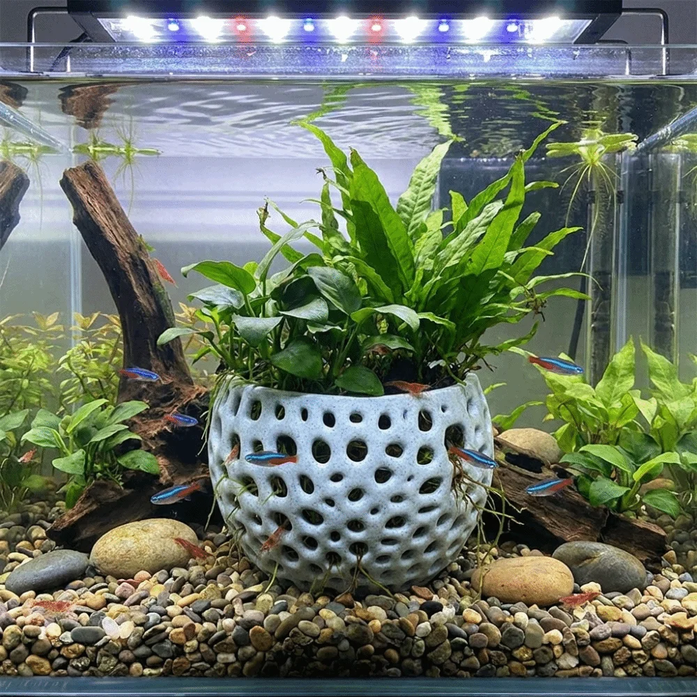 3D Printed Aquarium Planter Po - огляд і ціна 3D Printing Pot