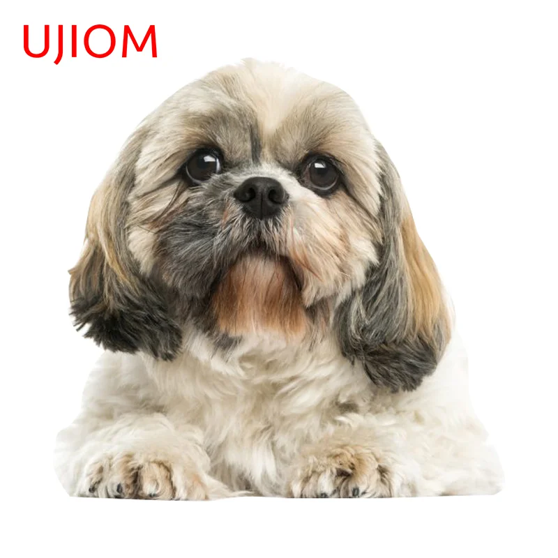UJIOM Cartoon Kawaii Peeking Dog Picture Wall Sticker Exquisite Trendy Adhesive Wallpaper Decal Unique Windows Home Decoration