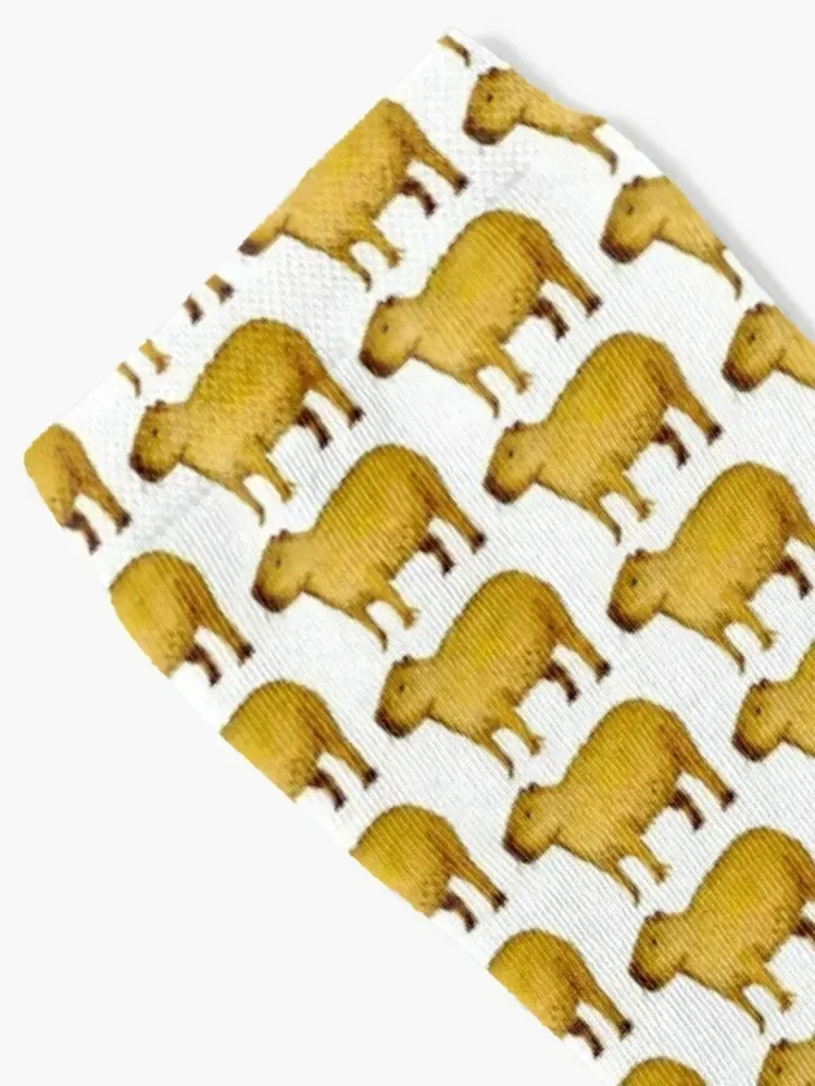 Capybara Socks snow sports and leisure winter gifts anime Man Socks Women's