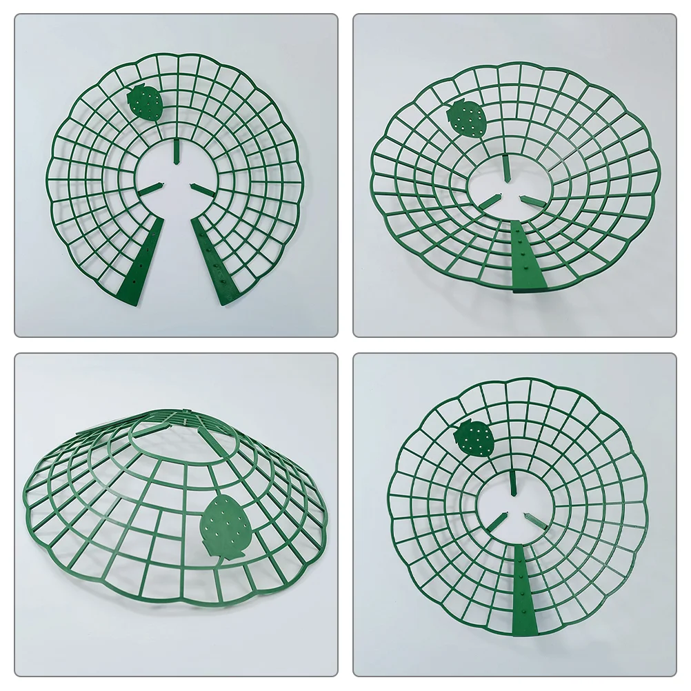 5 supporti per coltivazione di fragole, rack per fragole, supporto per piante, rack per coltivazione di fragole per giardinaggio