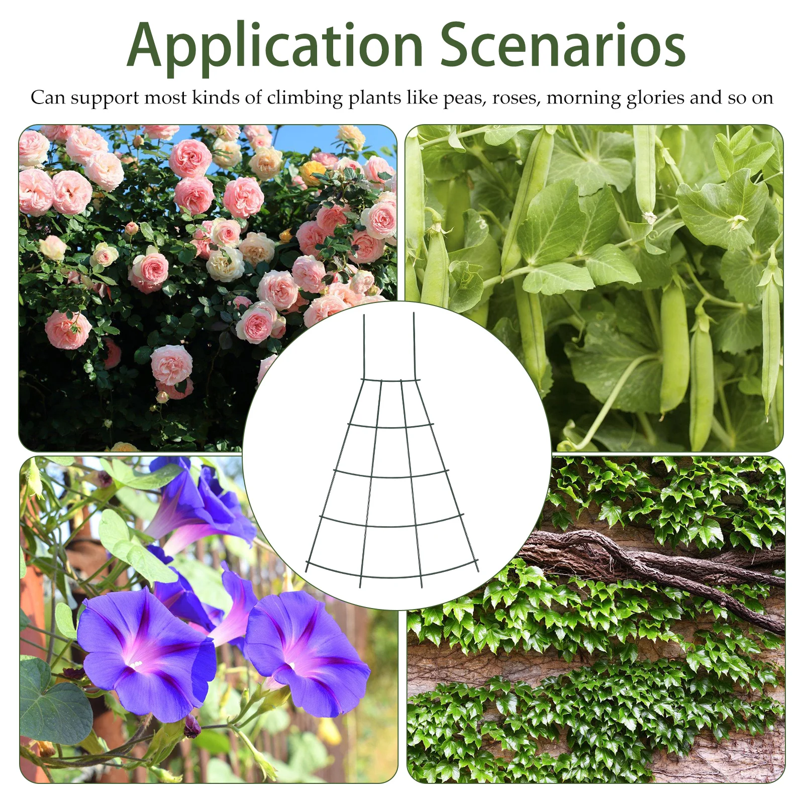 

Climbing Support Frame Garden Trellis Flower Arrangement Planting Rack Indoor Tomato Iron Potted Peony Flower Iron for Peas