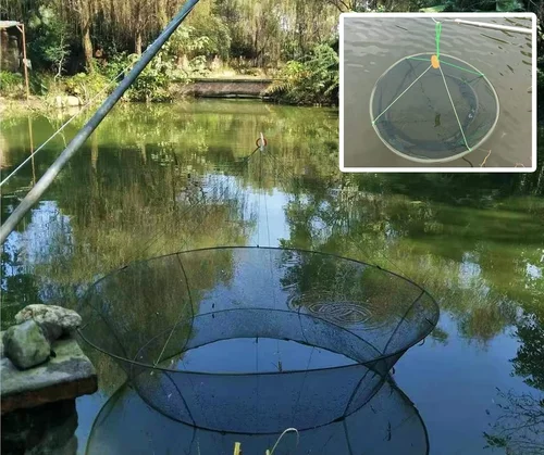 Imagen 2 del producto Red de pesca de aterrizaje, red de caída plegable grande, cebo de gambas, cangrejo, camarones, crucian, malla portátil para uso en estanque de depósito al aire libre, 80/100cm