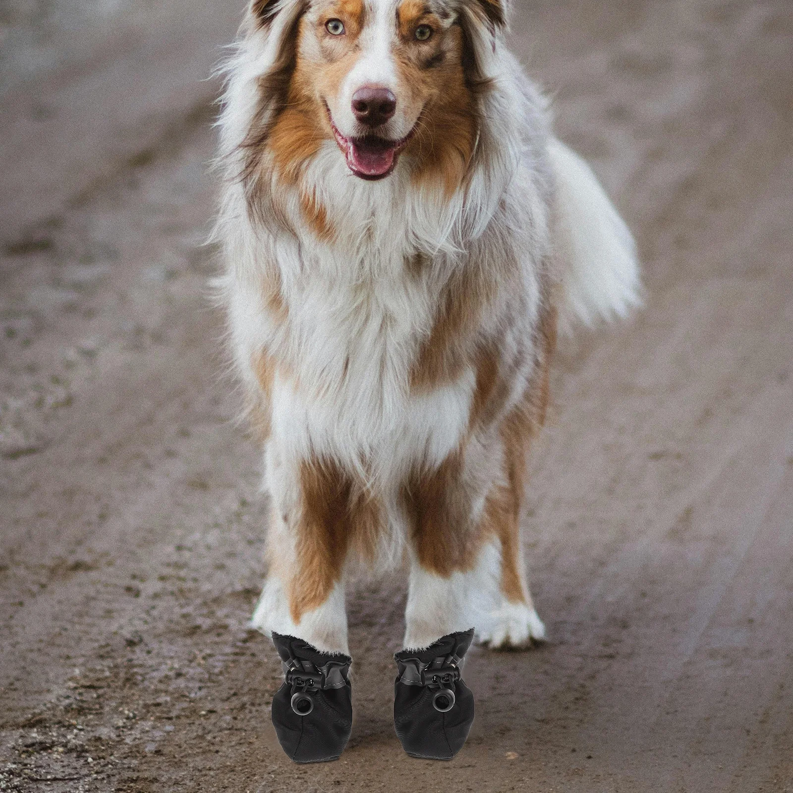 

4Pcs Puppy Shoes for Small Dogs Soft Sole Warm Lining Non-Slip Dog Booties for Indoor Outdoor Use Protective Dog Shoes