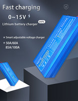 12V Lifepo4 Battery Charger 50A 60A 100A Adjustabl Voltage/Current Lithium Battery Fast Charger Adapter for 100ah 200AH 300AH