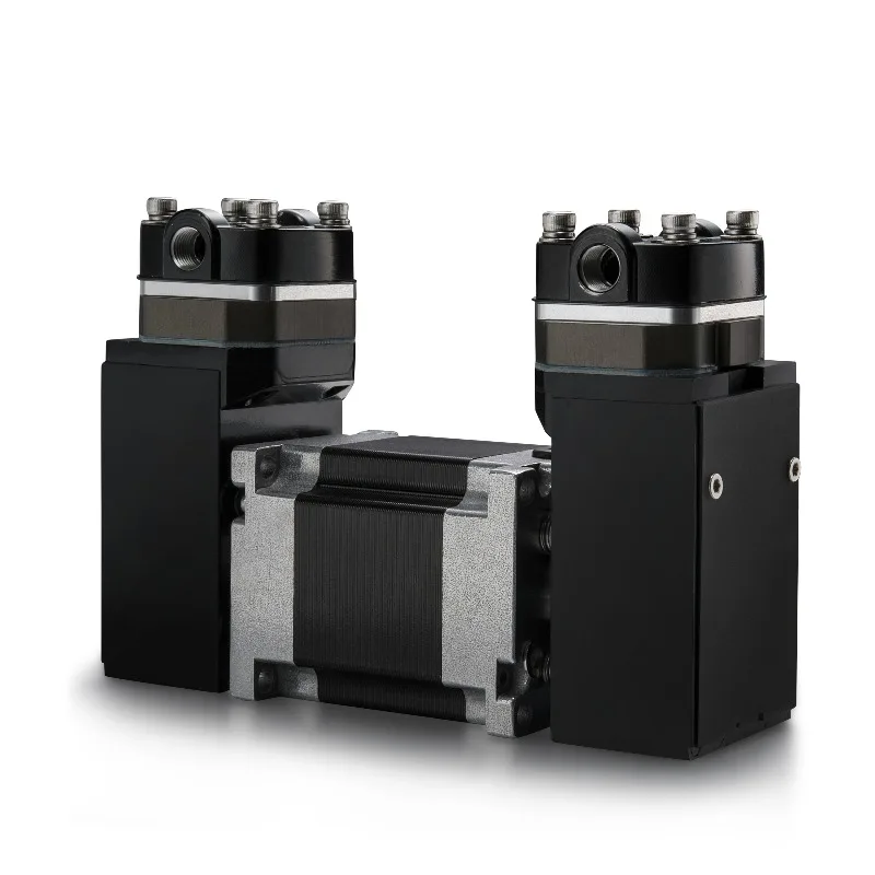 Doppelköpfe, 24 V, elektrische Gleichstrom-Luftpumpen, 8 bar, PWM-Geschwindigkeit, einstellbare Gaspumpe, bürstenloser Kompressor, kleine Schaukelkolben-Vakuumpumpe