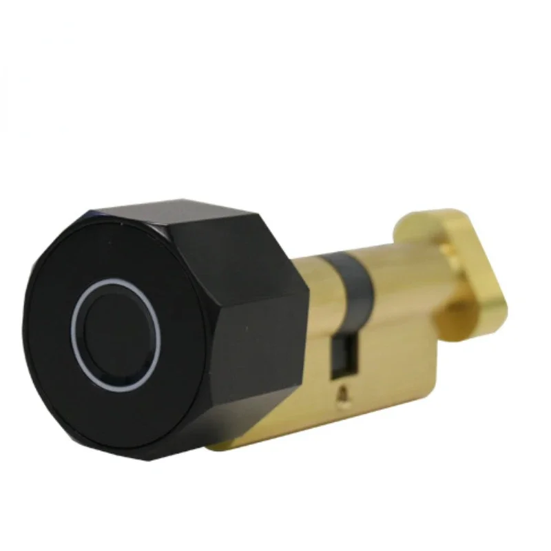 Euro Standard Stainless Steel Smart Security Digital Luxury Smart Door Lock Cylinder