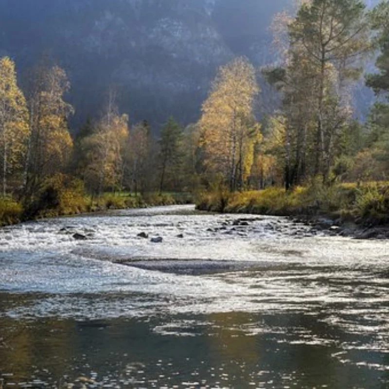 

Модель MN 1/12 MN128 MN86 G500 RC Полный привод Альпинистский автомобиль Обновление деталей Металлическое колесо Шина Комбинированное устройство Альпинистская шина