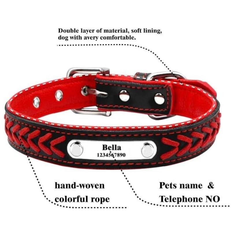 Thumbnail 4 - #76 Best Puppy Collars to Buy In 2026