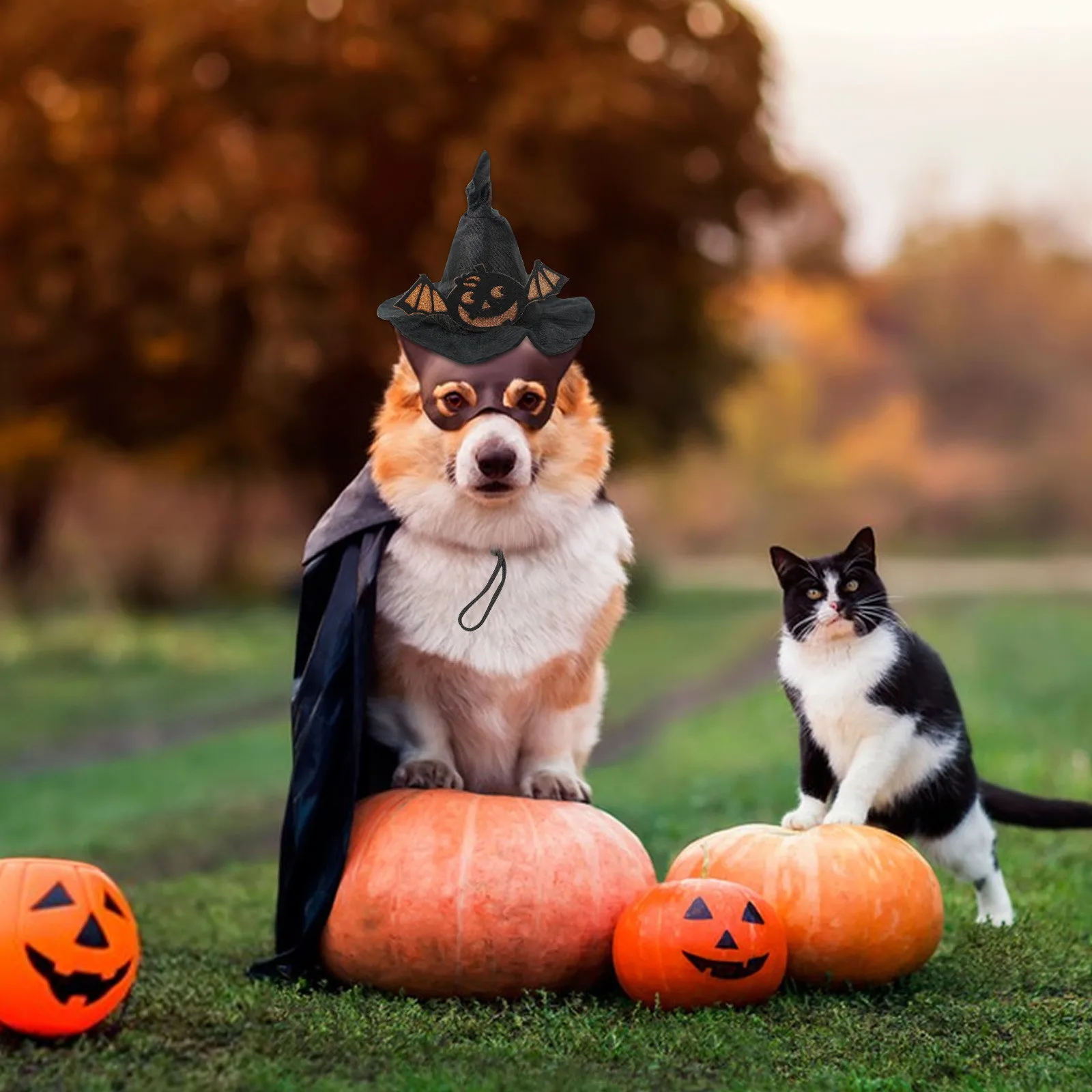 Cappello da strega per cani di Halloween regolabile leggero e traspirante copricapo per animali domestici Cosplay Prop Dog Hat