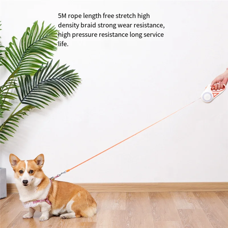 AA81-3 Meters LED Flashlight Pet Leash Retractable Lighted Night Outdoor Walking Non-Slip Handle Supplies Easy To Use ,C