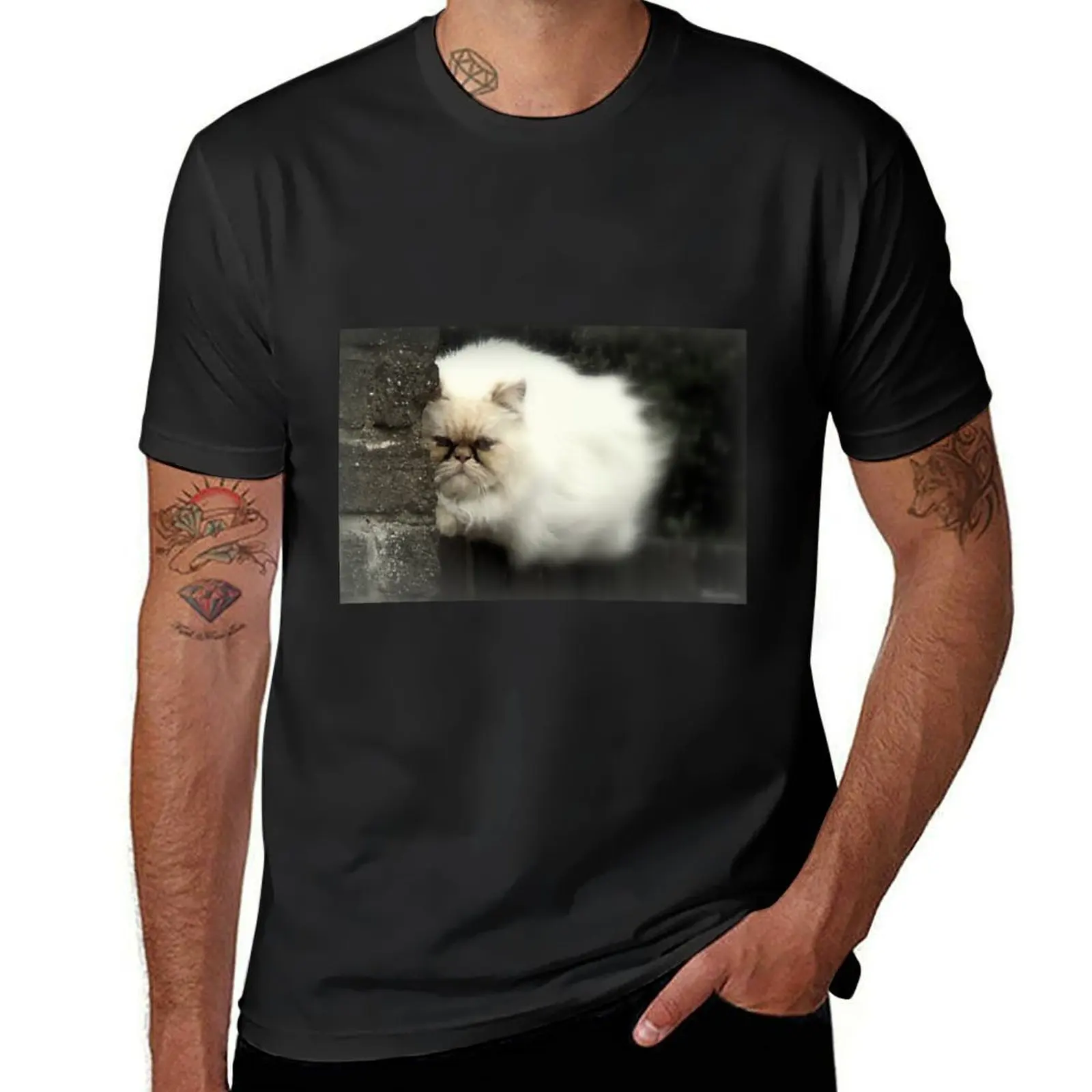 

The Tease... T-Shirt aesthetic clothes customs design your own Men's t-shirt