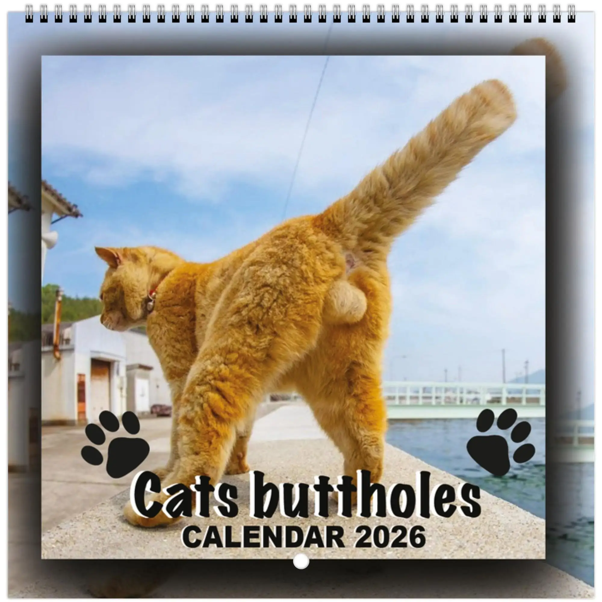 

Funny 2026 Cats Buttholes Calendar 12 Monthly Funny Cat Tail Wall Calendar Monthly & Daily Planner For Living Room Bedroom