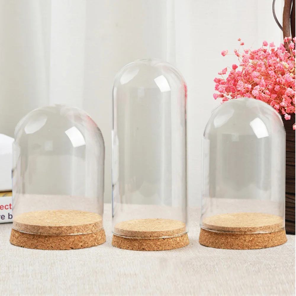 

8/10/12cm Modern Handcraft Glass Dome Cover Dry Flower Vase With Wood Cork Base Landcrape Figurines Model Display Artworks DIY