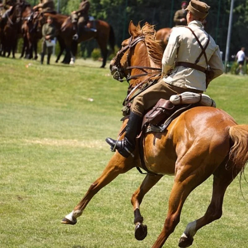 

MARK4 V2 FPV Drone Frame KIT 8/9/10 дюймов 367/387/427 мм из углеродного волокна для RC FPV Freestyle Long Range Racing Drone Quadcopter