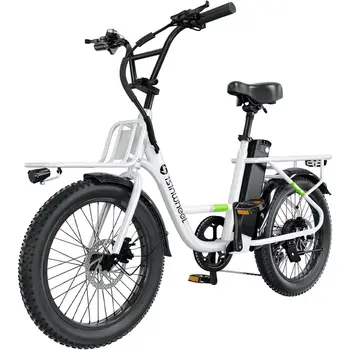 Cargo Cruiser Electric Bike 1
