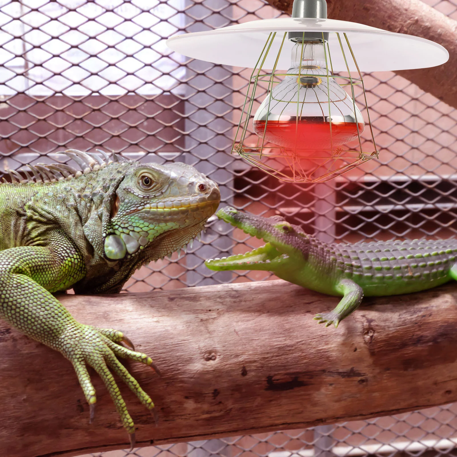 Thumbnail 4 - #25 Trending Small Animal Supplies Right Now