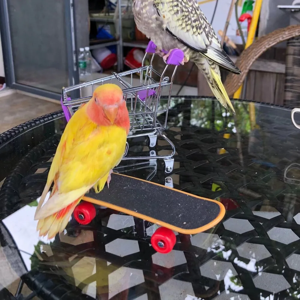 

Natural Turtles Small Skateboard Puzzle Interactive Tortoise Finger Skate Board with 2 Feeding Ball Turtle Snack Ball