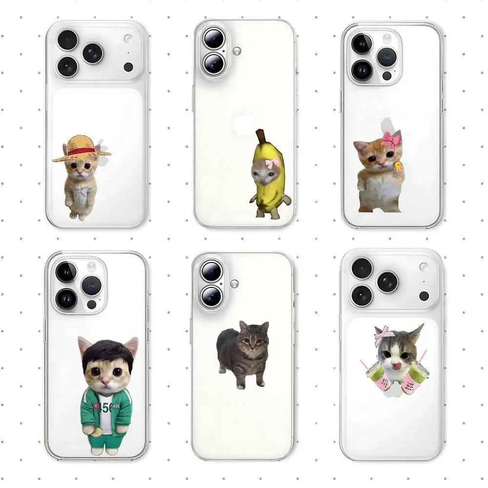 T-Transparentes Con…