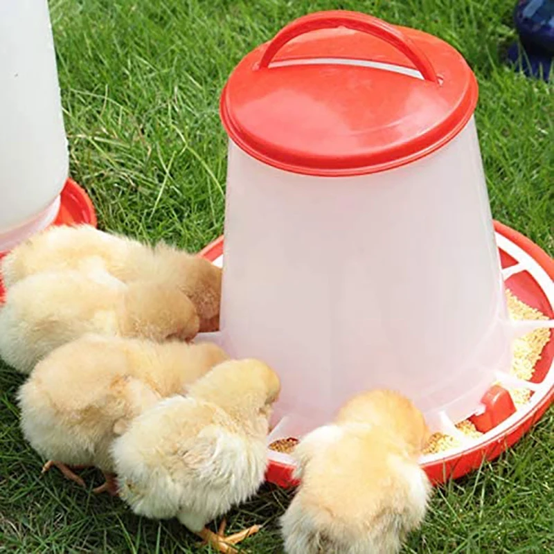 Baby Chick Feeder And Waterer Kit For Poultry Fount For Up To 12 Chicks,Broiler Easy To Clean,Highly Practical For Coop