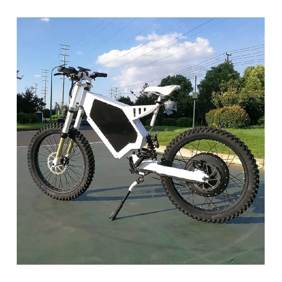 Chinese Cheap E Bike 8000/5000/3000 Enduro Ebike Many Options Top Configuration Electric Bicycle in Stock for Off Road