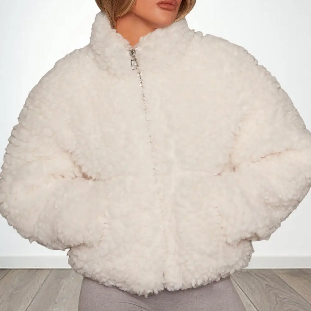 Jas met opstaande kraag Dameswinterjas Korte opstaande kraag Dikke pluche Winddichte buitenjas met ritssluiting voor dagelijks gebruik Hals