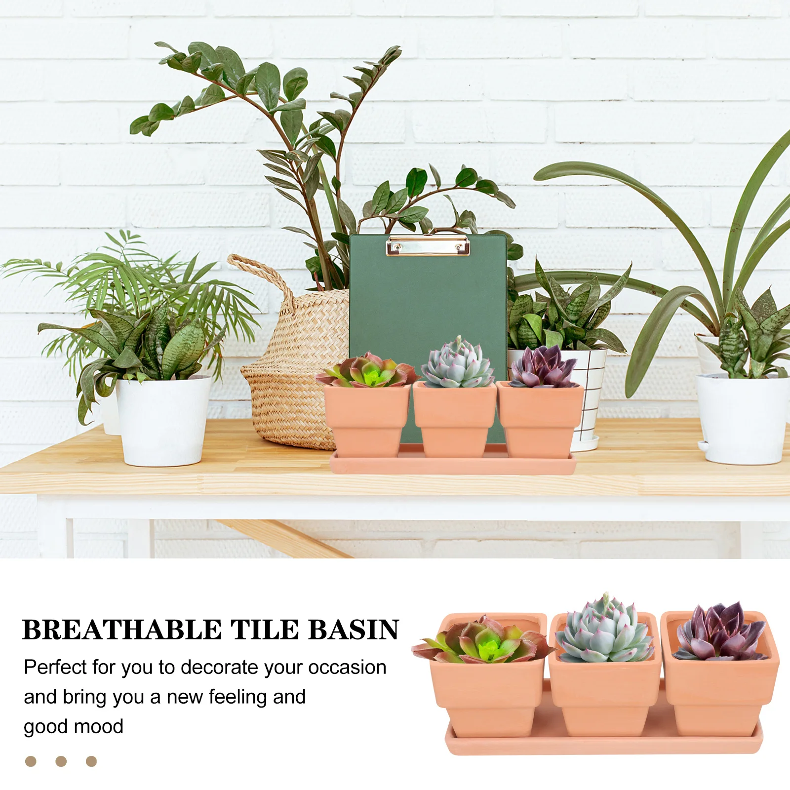 1 مجموعة زهور الطين الأحمر مع صحن الصرف للنباتات الداخلية المنزل مكتب حديقة شرفة ديكور وعاء النبات