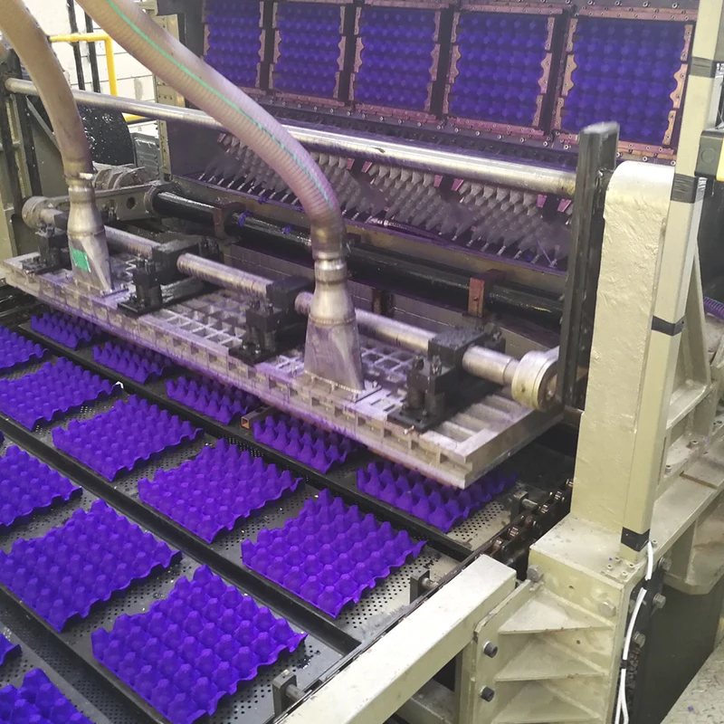 Customized Automatic Egg Tray Machine Best Value with Hot Press Machine Direct Factory