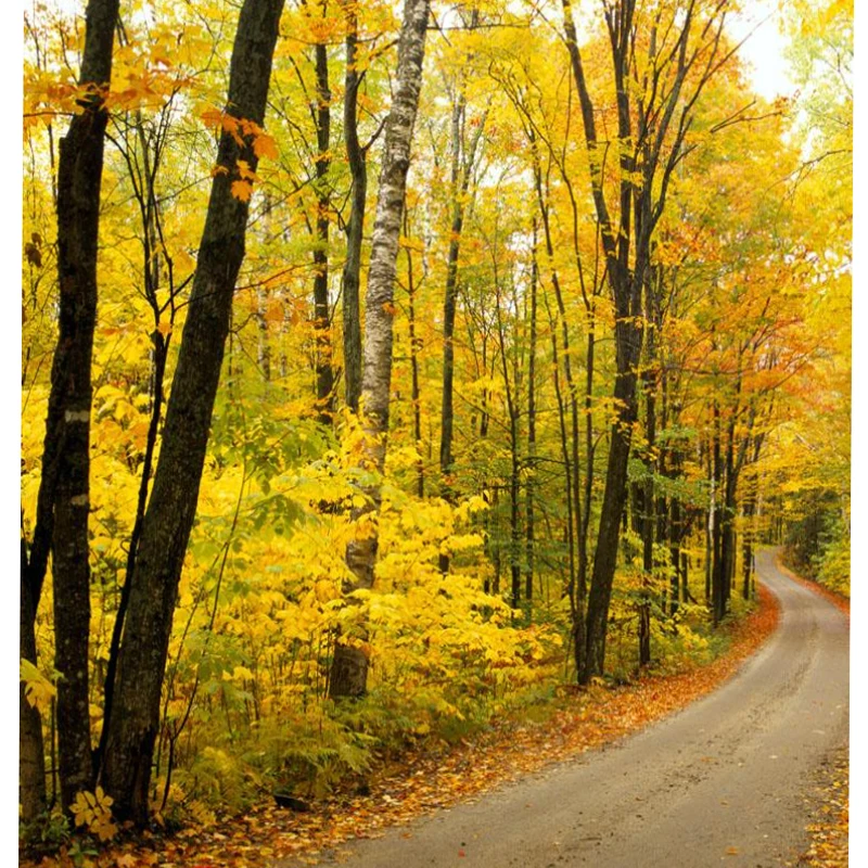 JX 서보 PDI-HV0903MG 2.6kg 메탈 기어 디지털 플랫 윙 서보 플라스틱 케이스 RC 글라이더용