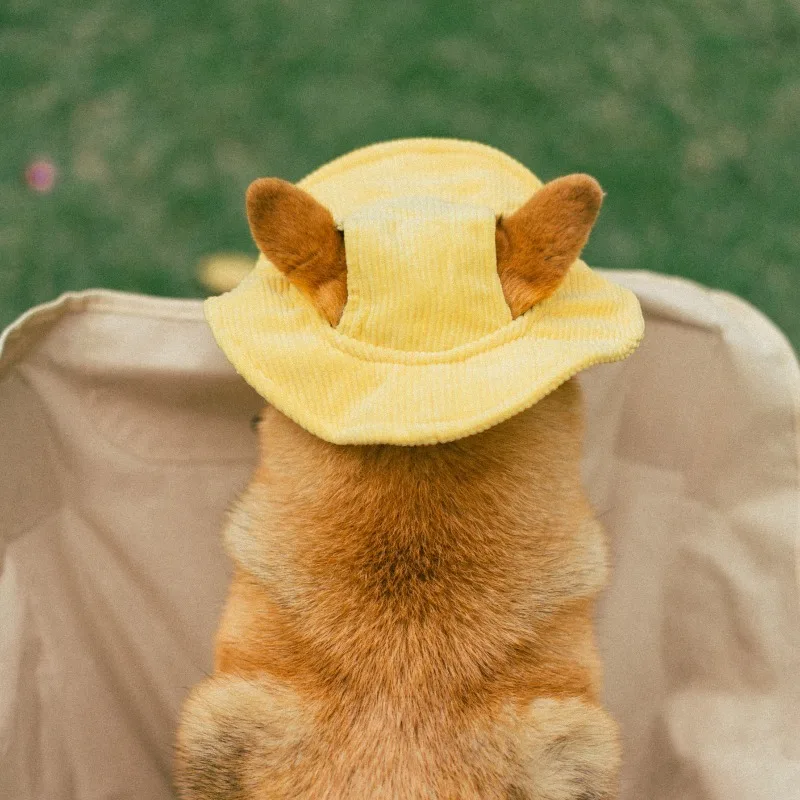 Dog hat, cute open ears bucket hat big dog summer visor cat Shiba Inu Corgi pet sunscreen small yellow hat