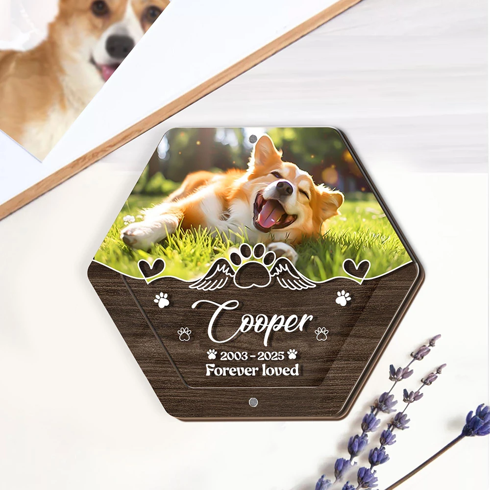 Personalized Name Wooden Carving Pet Hair Storage Box Pet Supplies Custom Dog Save Teeth Memorial Boxes Pet Lost Memorial Gifts