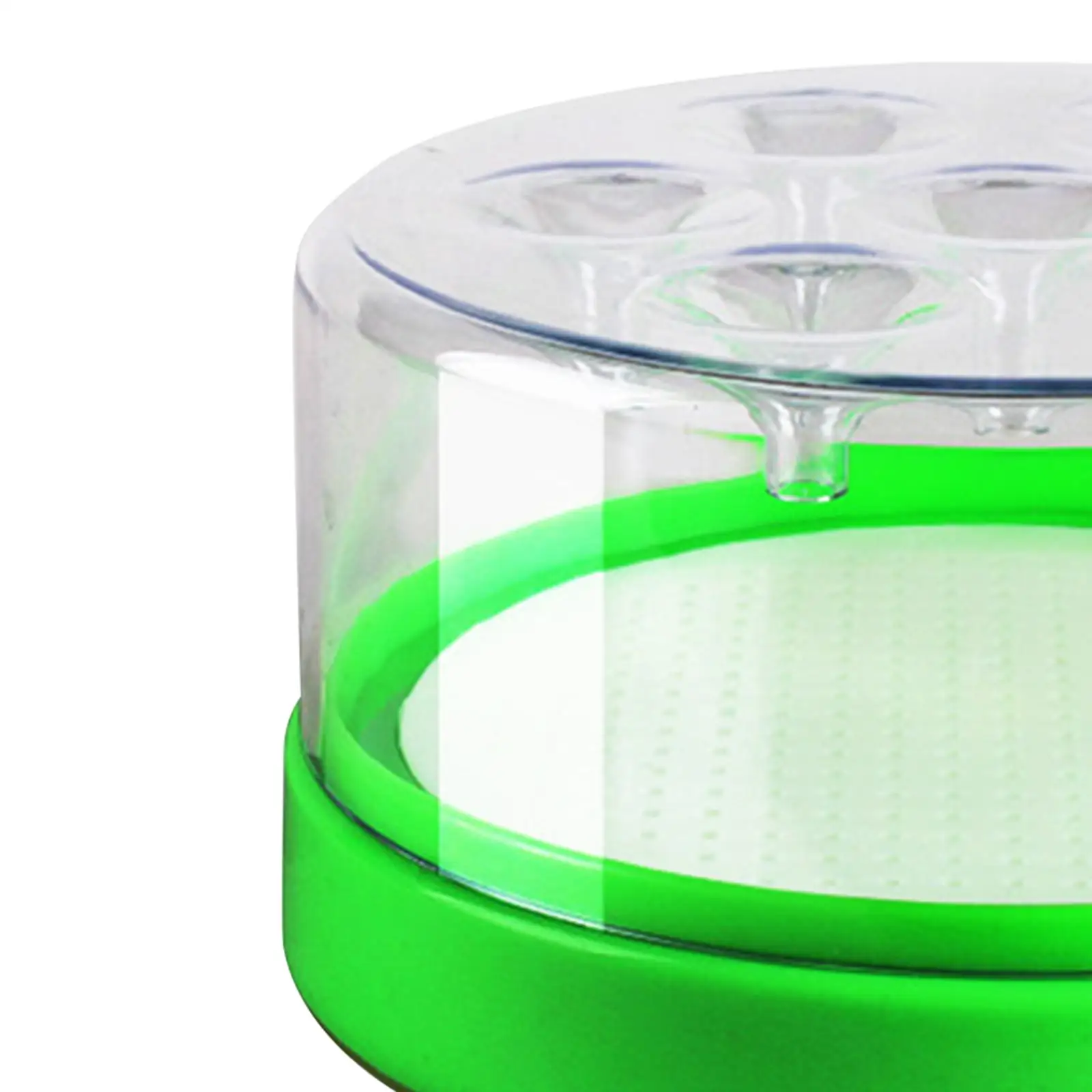 Fly Repellence Multipurpose Clear Fly Traps for Living Room Farm