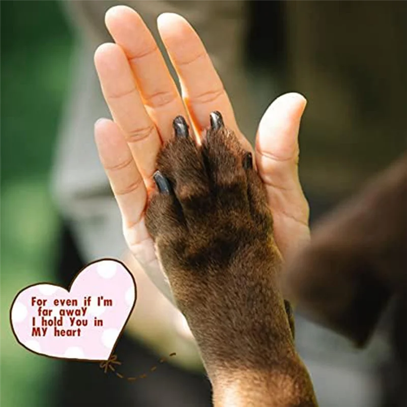 Vitrage chien de compagnie cadeaux commémoratifs pour les amoureux des chiens, tentures de fenêtre ornement Suncatcher, perte de chien sympathie cadeau C facile à utiliser