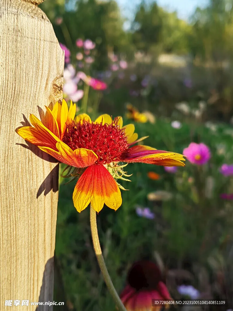 

Шины 1.0 дюйма D399 / Латунные диски D398 для радиоуправляемых краулеров 1/18 TRX4M SCX24 FMS Ascent-18