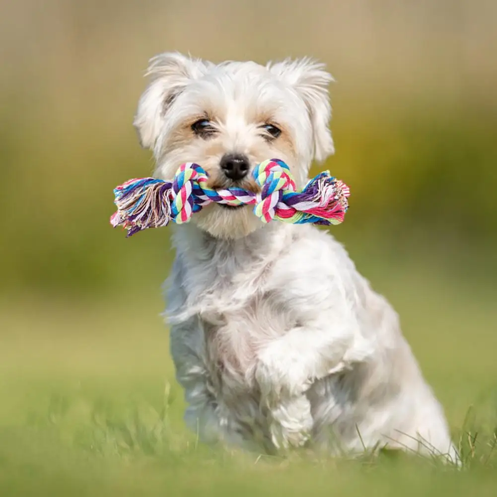 Pet Toy Dog Chew Toy Set Durable Cotton Rope Pet Training Toys Bite-resistant Dog Toy Bundle for Playtime Dental Health Training